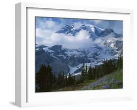 Mt. Rainier from Paradise Meadows, Mt. Rainier National Park, Washington, USA-Charles Gurche-Framed Premium Photographic Print