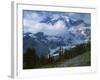 Mt. Rainier from Paradise Meadows, Mt. Rainier National Park, Washington, USA-Charles Gurche-Framed Photographic Print