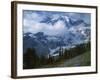 Mt. Rainier from Paradise Meadows, Mt. Rainier National Park, Washington, USA-Charles Gurche-Framed Photographic Print