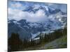 Mt. Rainier from Paradise Meadows, Mt. Rainier National Park, Washington, USA-Charles Gurche-Mounted Photographic Print