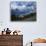 Mt. Rainier from Paradise Meadows, Mt. Rainier National Park, Washington, USA-Charles Gurche-Photographic Print displayed on a wall