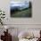 Mt. Rainier from Paradise Meadows, Mt. Rainier National Park, Washington, USA-Charles Gurche-Photographic Print displayed on a wall