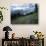 Mt. Rainier from Paradise Meadows, Mt. Rainier National Park, Washington, USA-Charles Gurche-Photographic Print displayed on a wall