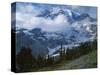 Mt. Rainier from Paradise Meadows, Mt. Rainier National Park, Washington, USA-Charles Gurche-Stretched Canvas