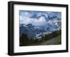 Mt. Rainier from Paradise Meadows, Mt. Rainier National Park, Washington, USA-Charles Gurche-Framed Photographic Print