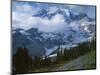 Mt. Rainier from Paradise Meadows, Mt. Rainier National Park, Washington, USA-Charles Gurche-Mounted Photographic Print