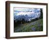 Mt. Rainier from Paradise Meadows, Mt. Rainier National Park, Washington, USA-Charles Gurche-Framed Photographic Print