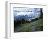 Mt. Rainier from Paradise Meadows, Mt. Rainier National Park, Washington, USA-Charles Gurche-Framed Photographic Print