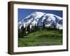 Mt. Rainier from Paradise, Mt. Rainier National Park, Washington, USA-Charles Gurche-Framed Premium Photographic Print