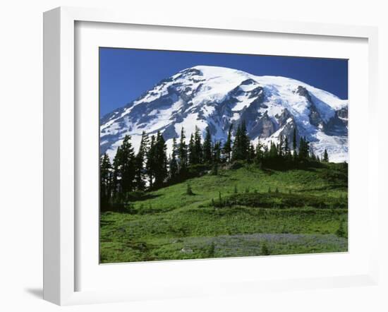 Mt. Rainier from Paradise, Mt. Rainier National Park, Washington, USA-Charles Gurche-Framed Premium Photographic Print