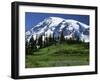 Mt. Rainier from Paradise, Mt. Rainier National Park, Washington, USA-Charles Gurche-Framed Photographic Print