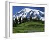 Mt. Rainier from Paradise, Mt. Rainier National Park, Washington, USA-Charles Gurche-Framed Photographic Print