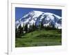 Mt. Rainier from Paradise, Mt. Rainier National Park, Washington, USA-Charles Gurche-Framed Photographic Print