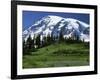 Mt. Rainier from Paradise, Mt. Rainier National Park, Washington, USA-Charles Gurche-Framed Photographic Print