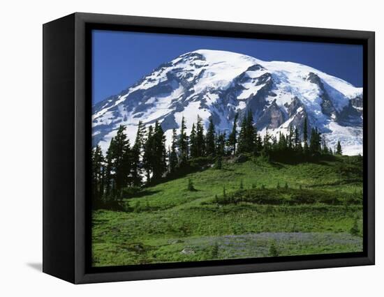 Mt. Rainier from Paradise, Mt. Rainier National Park, Washington, USA-Charles Gurche-Framed Stretched Canvas