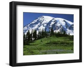 Mt. Rainier from Paradise, Mt. Rainier National Park, Washington, USA-Charles Gurche-Framed Photographic Print