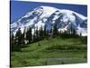 Mt. Rainier from Paradise, Mt. Rainier National Park, Washington, USA-Charles Gurche-Stretched Canvas