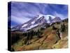 Mt. Rainier from Skyline Trail, Mount Rainier National Park, Washington, USA-Jamie & Judy Wild-Stretched Canvas