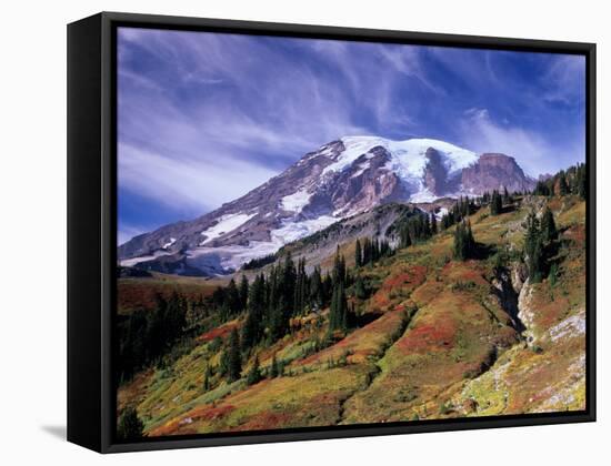 Mt. Rainier from Skyline Trail, Mount Rainier National Park, Washington, USA-Jamie & Judy Wild-Framed Stretched Canvas