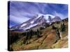 Mt. Rainier from Skyline Trail, Mount Rainier National Park, Washington, USA-Jamie & Judy Wild-Stretched Canvas