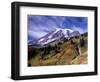 Mt. Rainier from Skyline Trail, Mount Rainier National Park, Washington, USA-Jamie & Judy Wild-Framed Photographic Print