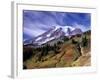 Mt. Rainier from Skyline Trail, Mount Rainier National Park, Washington, USA-Jamie & Judy Wild-Framed Photographic Print