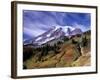 Mt. Rainier from Skyline Trail, Mount Rainier National Park, Washington, USA-Jamie & Judy Wild-Framed Photographic Print