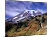 Mt. Rainier from Skyline Trail, Mount Rainier National Park, Washington, USA-Jamie & Judy Wild-Mounted Photographic Print