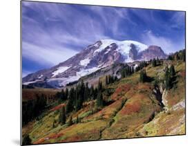 Mt. Rainier from Skyline Trail, Mount Rainier National Park, Washington, USA-Jamie & Judy Wild-Mounted Photographic Print