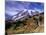 Mt. Rainier from Skyline Trail, Mount Rainier National Park, Washington, USA-Jamie & Judy Wild-Mounted Photographic Print