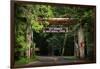 Mt Rainier Gateway-Steve Gadomski-Framed Photographic Print