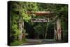 Mt Rainier Gateway-Steve Gadomski-Stretched Canvas