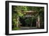 Mt Rainier Gateway-Steve Gadomski-Framed Photographic Print