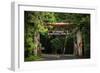 Mt Rainier Gateway-Steve Gadomski-Framed Photographic Print