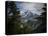 Mt Rainier In The Morning Light As Seen From The Pacific Crest Trail-Ron Koeberer-Stretched Canvas