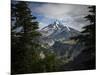 Mt Rainier In The Morning Light As Seen From The Pacific Crest Trail-Ron Koeberer-Mounted Photographic Print