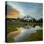 Mt. Rainier Is Reflected in a Small Tarn in Spray Park, Mt. Rainier National Park, Washington, USA-Gary Luhm-Stretched Canvas