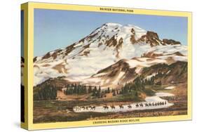 Mt. Rainier, Mazama Ridge, Washington-null-Stretched Canvas