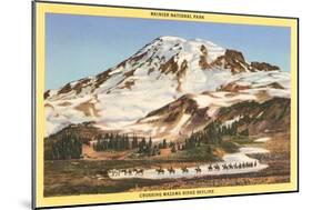 Mt. Rainier, Mazama Ridge, Washington-null-Mounted Art Print