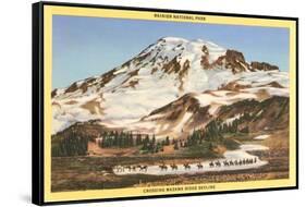 Mt. Rainier, Mazama Ridge, Washington-null-Framed Stretched Canvas