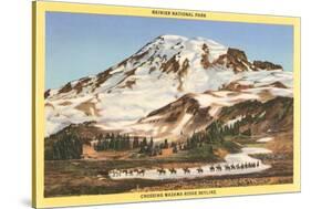 Mt. Rainier, Mazama Ridge, Washington-null-Stretched Canvas