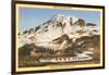 Mt. Rainier, Mazama Ridge, Washington-null-Framed Art Print