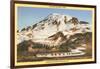 Mt. Rainier, Mazama Ridge, Washington-null-Framed Art Print