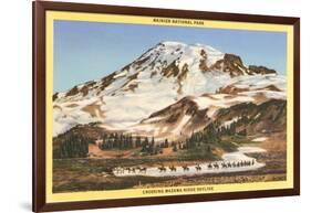 Mt. Rainier, Mazama Ridge, Washington-null-Framed Art Print