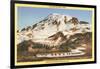 Mt. Rainier, Mazama Ridge, Washington-null-Framed Art Print