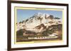 Mt. Rainier, Mazama Ridge, Washington-null-Framed Art Print