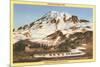 Mt. Rainier, Mazama Ridge, Washington-null-Mounted Premium Giclee Print