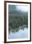 Mt. Rainier National Park, WA-Justin Bailie-Framed Photographic Print