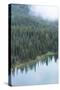 Mt. Rainier National Park, WA-Justin Bailie-Stretched Canvas