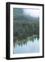 Mt. Rainier National Park, WA-Justin Bailie-Framed Photographic Print